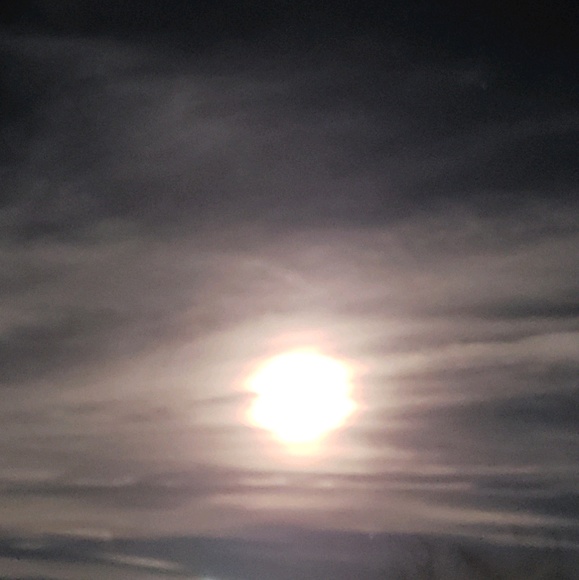 Meet your Posher, Carla - Picture 1 of 1